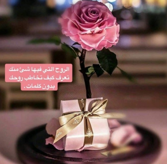 كلام حلو عن الصباح