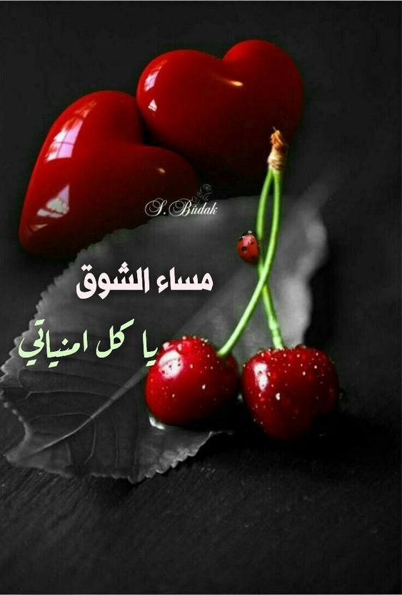 كلام حلو لحبيبتي في المساء