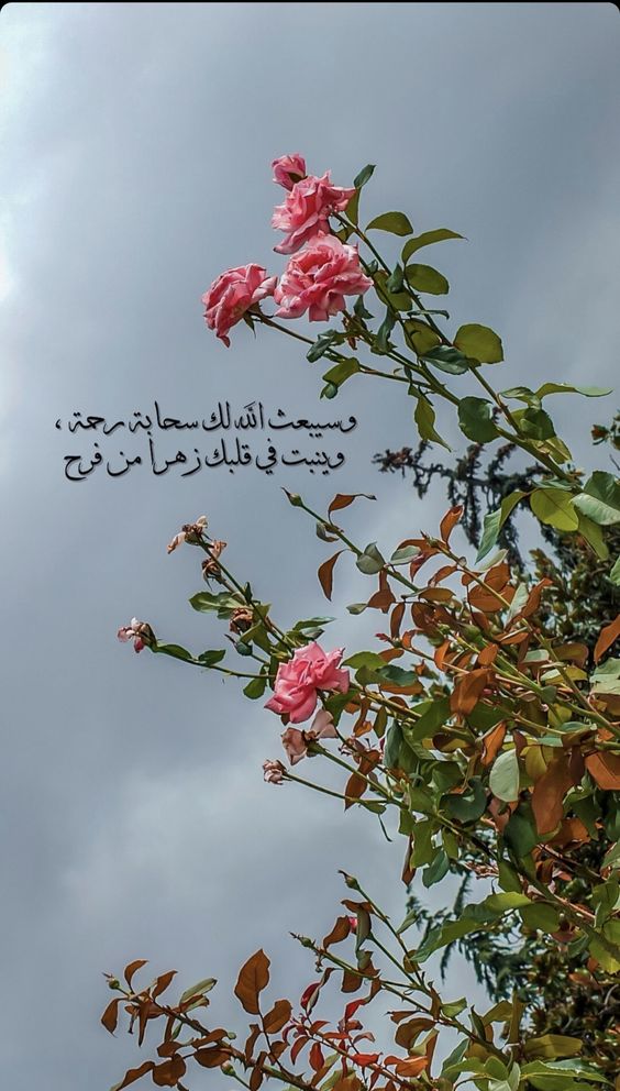 كلام ديني قبل النوم