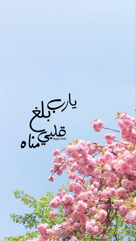 كلام ديني قبل النوم