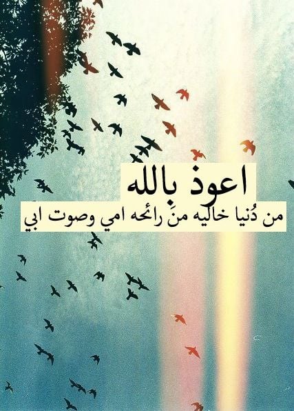 كلام عن الأم والأب