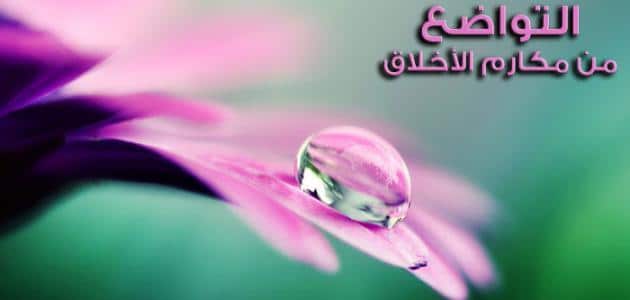 كلام عن التواضع