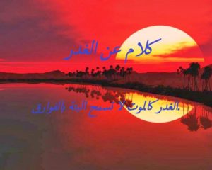 كلام عن الغدر