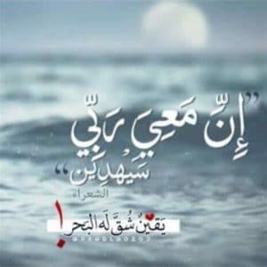 كلام عن صوت البحر