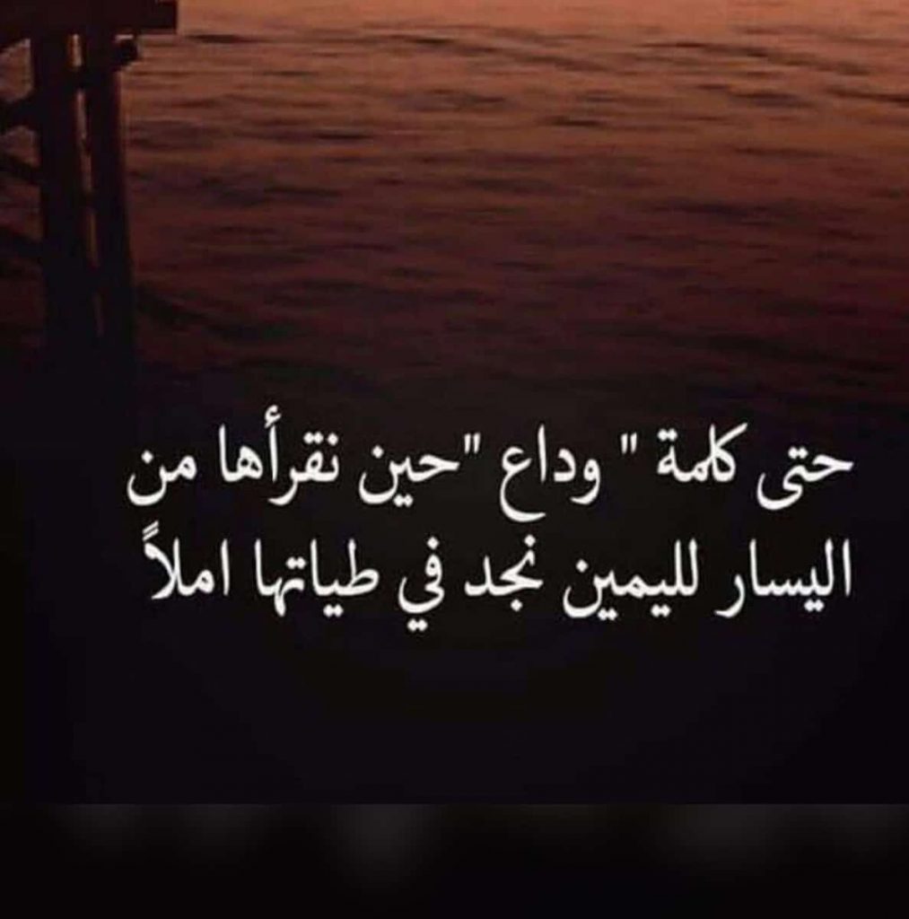 كلام في الصميم عن الحب والفراق