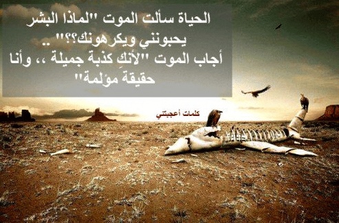 كلام في الصميم عن الحياة