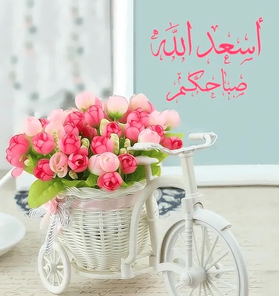 كلام في الصميم عن الصباح