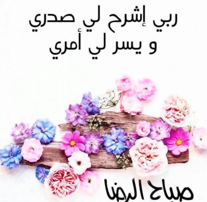 كلام في الصميم عن الصباح