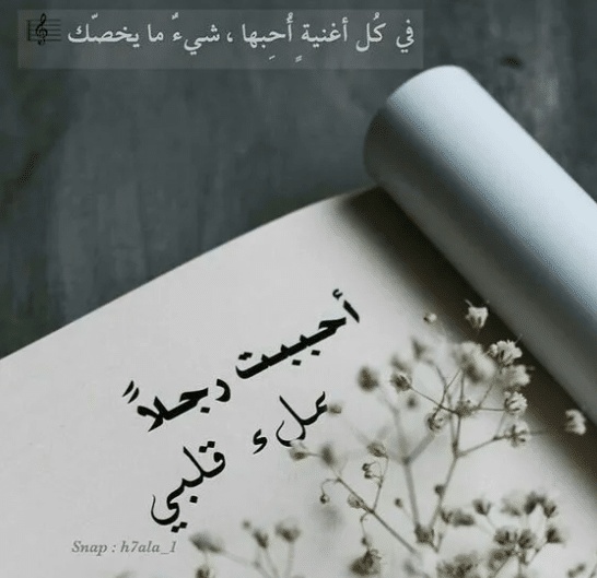كلام في الصميم للحبيب