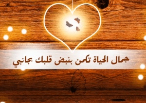 كلام في الصميم للحبيب