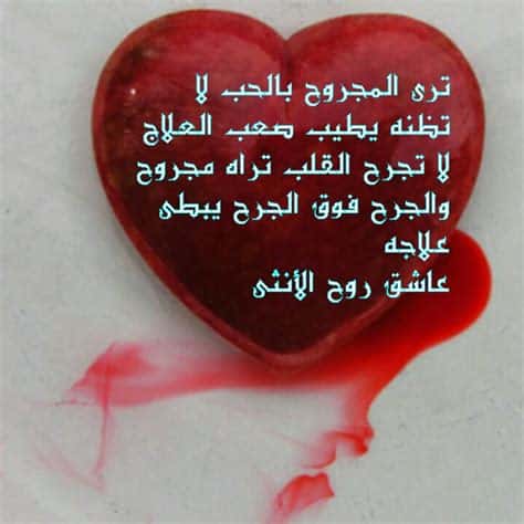 كلام في الصميم للحبيب