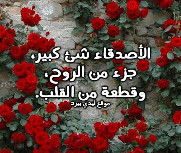 كلام محفز