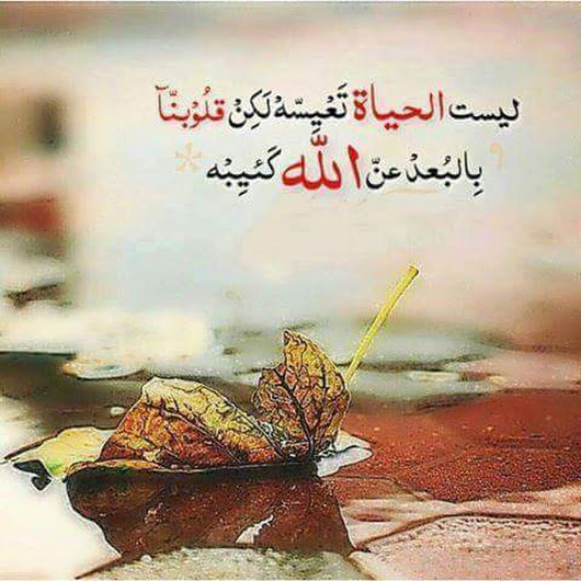كلام محفز