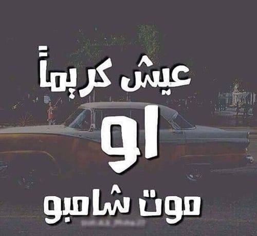 كلام مضحك جدا للفيس بوك