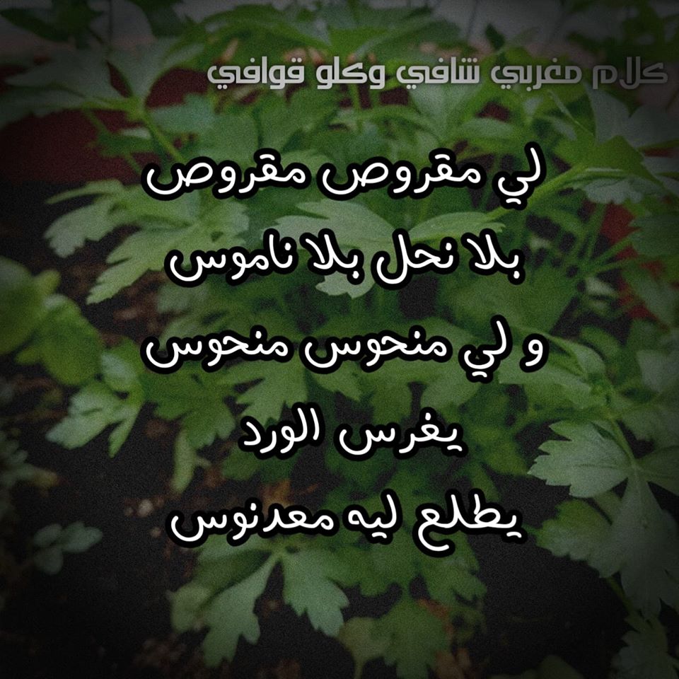 كلام مضحك