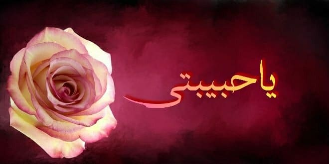 كلام من القلب الى حبيبتي