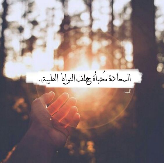 كلام يبعث السعادة