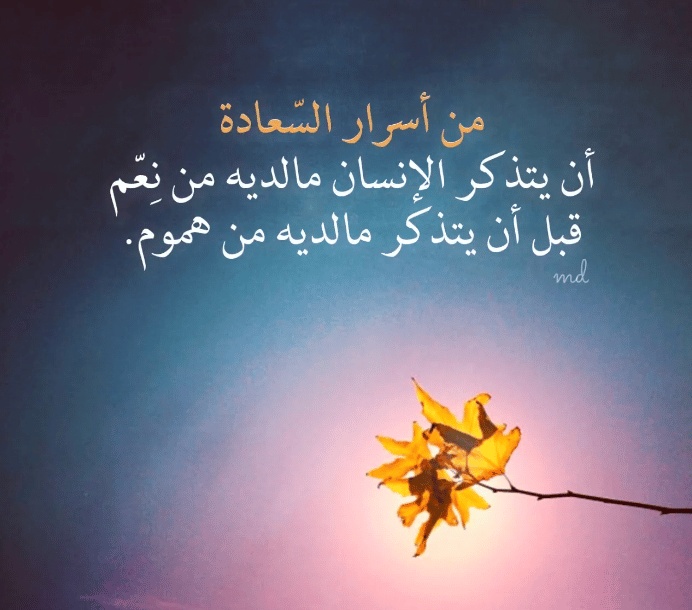 كلام يبعث السعادة