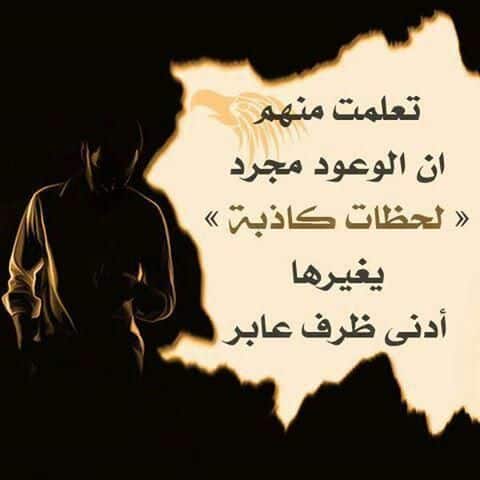 كلام يبهر العقول