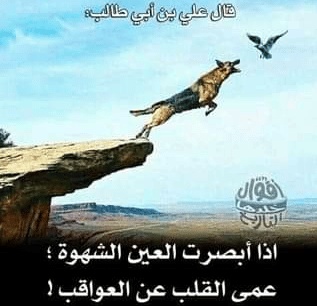 كلام يبهر العقول