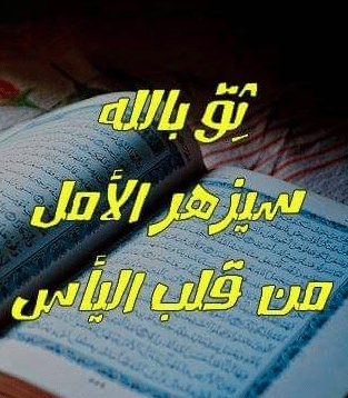 كلام يبهر العقول