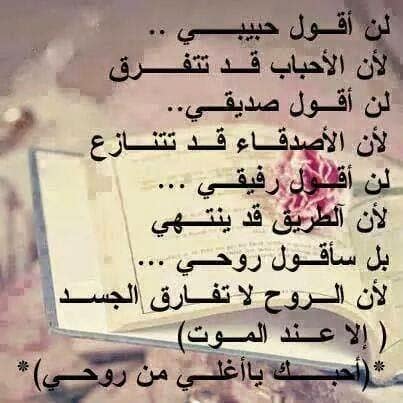 كلام يبهر العقول