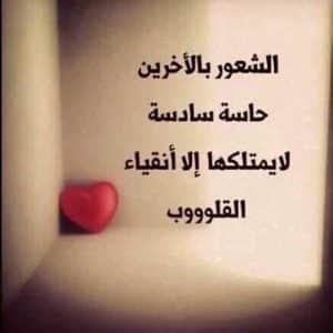 كلام يبهر العقول