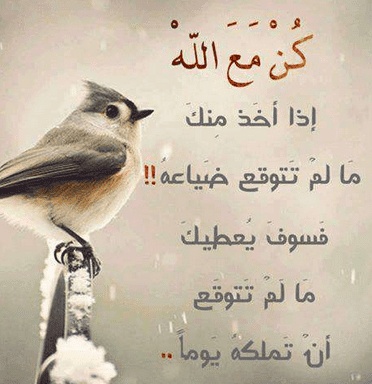 كلام يتحط على الواتس