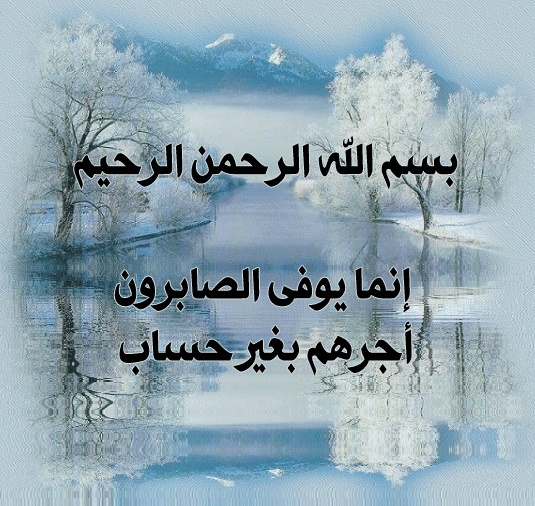 كلام يتحط على الواتس