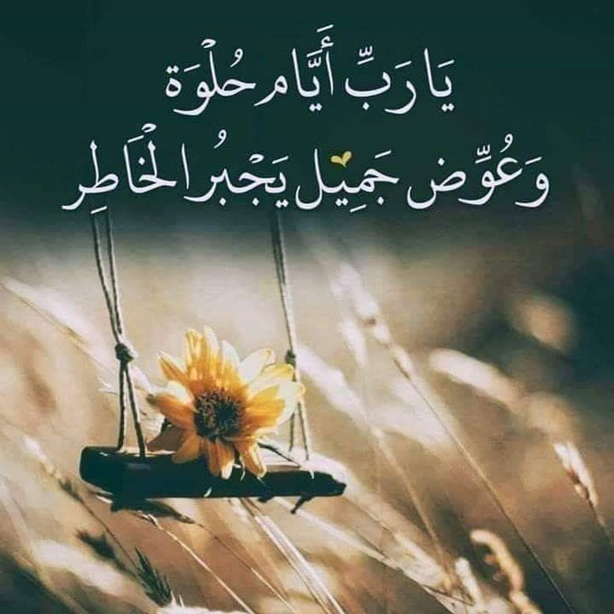 كلام يجبر الخاطر