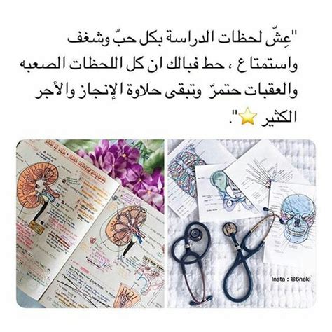 كلام يحفز للمذاكره