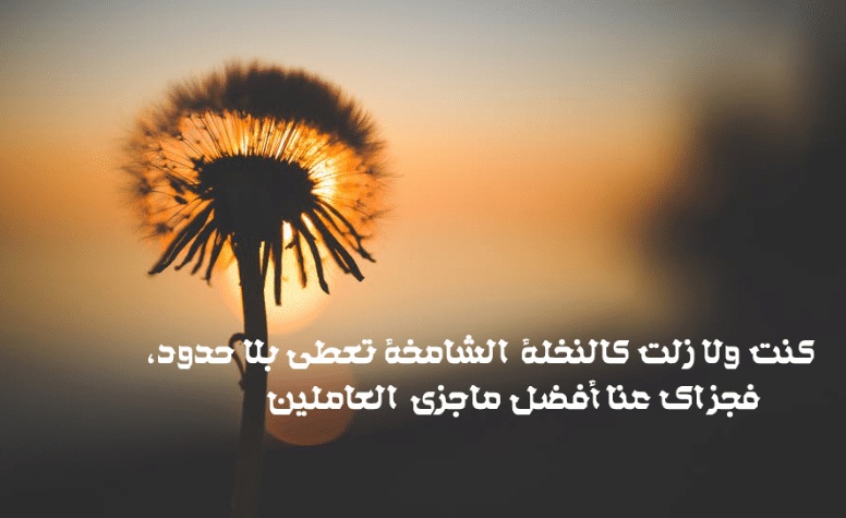 كلام يسعد شخص تحبه