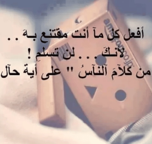 كلام يسكت الجميع
