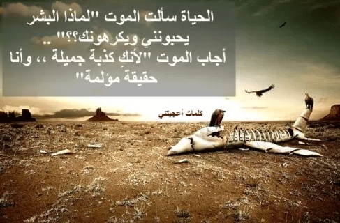 كلام يسكت العدو