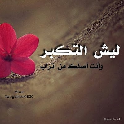 كلام يسكت العدو