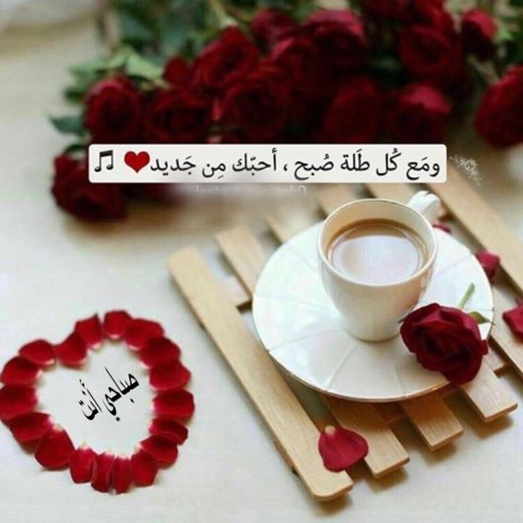كلام يقال في الصباح للحبيبة