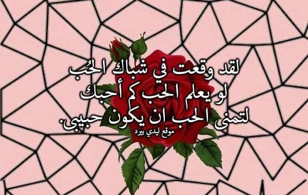 كلام يقال للحبيب قبل النوم