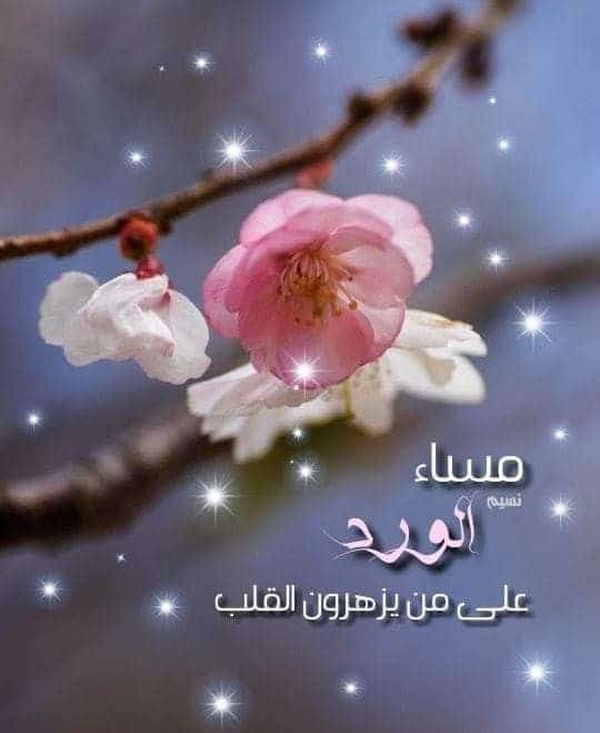 كلام يقال للحبيبة في المساء