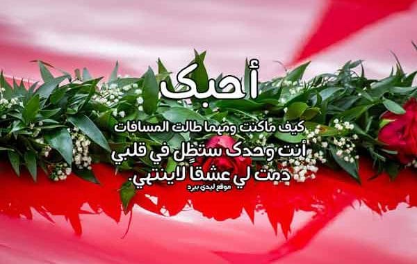 مسجات حلوة مسجات حلوة للاصدقاء، رسائل حلوة حب، رسائل كلام حلو 