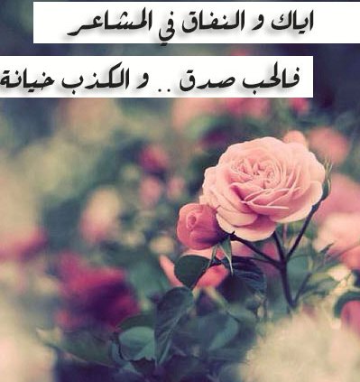 مسجات عن خيانة الزوج