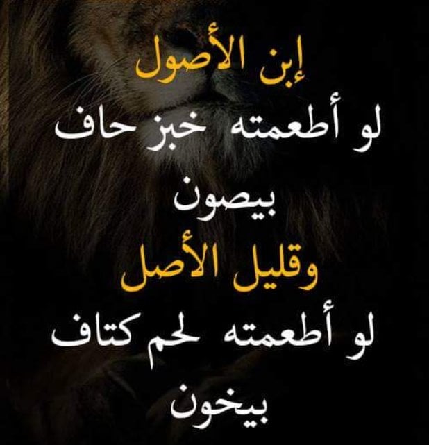 مسجات عن قلة الاصل