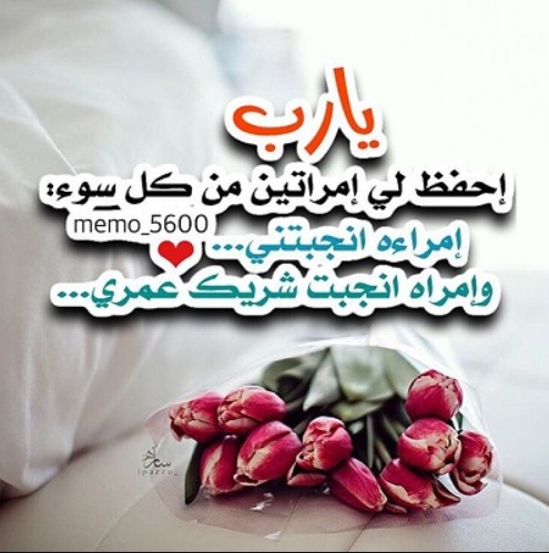 مسجات لحماتي