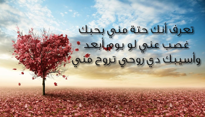مسجات للحبيب