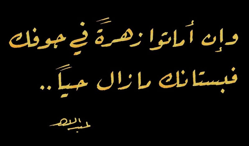 نسخ عبارات للسناب