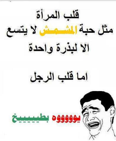 نكت بلهجه سعوديه