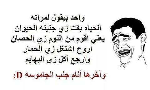 نكت سعودية