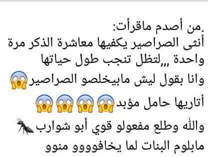 نكت صراصير محششة