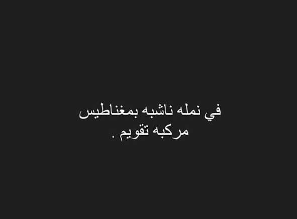 نكت صراصير محششة