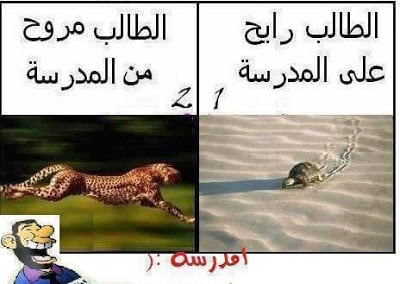 نكت مضحكة جزائرية عن الدراسة