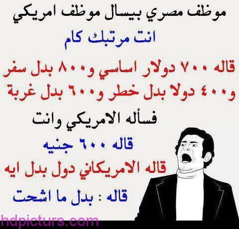 نكت مضحكة مصرية